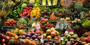 “Müşterek bir mesele olarak gıdayla ilgili her şey, yerel yönetimin kapsam alanına girebilir”