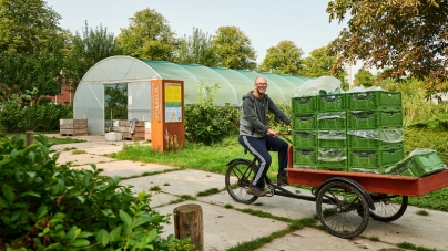 Hollanda’dan Gıda ve Sosyal Politikayı Birleştiren Bir Örnek: Toentje Sebze Bahçesi